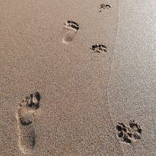 "She & Sea". Advertising, Photograph, Marketing, Social Media, Photo Retouching, Creativit, Mobile Photograph, Product Photograph, Portrait Photograph, Photographic Lighting, Digital Photograph, Fine-Art Photograph, Instagram, Facebook Marketing, Outdoor Photograph, Commercial Photograph, Instagram Photograph, Documentar, Photograph, Instagram Marketing, Lifest, le Photograph, Interior Photograph, Br, Strateg, Writing, Non-Fiction Writing, and Creative Writing project by María Barrado García - 07.13.2023