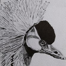 My project for course: Artistic Watercolor Techniques for Illustrating Birds. Traditional illustration, Watercolor Painting, Realistic Drawing, and Naturalistic Illustration project by Adeline Cartier - 07.14.2023