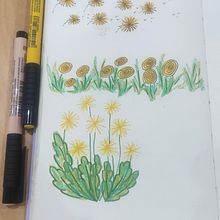 My project for course: Creative Drawing Techniques for Beginners. Un proyecto de Diseño, Ilustración tradicional, Dibujo a lápiz y Dibujo de Teresa Figueiredo - 14.07.2023