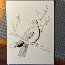 My project for course: Realistic Illustration of Birds with Imaginative Elements. Pencil Drawing, Drawing, Ink Illustration, and Naturalistic Illustration project by rephrayzer - 07.16.2023