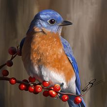 Bluebird - Ilustración digital. Un progetto di Illustrazione tradizionale di Fernando Soler - 06.02.2020