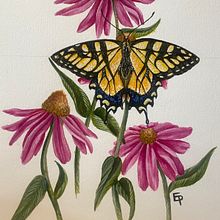 Arkansas. Traditional illustration project by epaigepowers - 07.16.2023