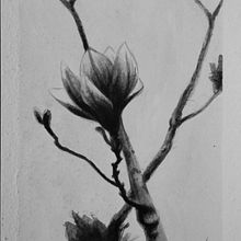 Meu projeto do curso: Introdução à ilustração com tinta nanquim . % Ketrin Z. Guimarães tarafından hazırlanan Geleneksel illüstras, on, Güzel sanatlar, Çizim, Mürekkep İllüstras, Ve onu projesi - 07.17.2023