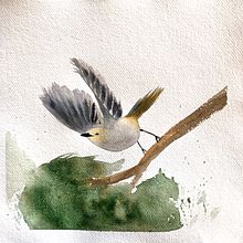 Mon projet du cours : Aquarelles naturalistes expressives avec du caractère. Traditional illustration, Watercolor Painting, and Naturalistic Illustration project by Marika Corboz - 07.17.2023