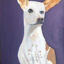 Mi proyecto del curso: Retrato realista de mascotas con pintura al óleo. Een project van  Beeldende kunst, Schilderij y  Olieverfschilderij van Josefina Quiceno Gutierrez - 17.07.2023