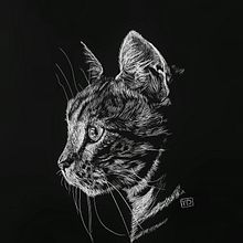 Scratchboard kitty  Ein Projekt aus dem Bereich Traditionelle Illustration, Bildende Künste, Zeichnung, Illustration mit Tinte, Naturalistische Illustration und Gravieren von Yaiza - 18.07.2023