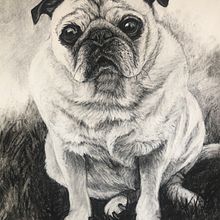 "Sadie" Charcoal portrait  Ein Projekt aus dem Bereich Bildende Künste, Zeichnung und Porträtzeichnung von Amy Pate - 18.07.2023