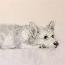 My project for course: Expressive Drawing with Charcoal. Fine Arts, Drawing, Portrait Drawing, and Naturalistic Illustration project by minukrichards - 07.13.2023