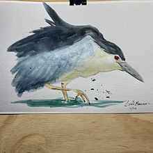 My project for course: Naturalist Watercolor with Expression and Personality. Traditional illustration, Watercolor Painting, and Naturalistic Illustration project by Lizzii Bowman - 07.19.2023