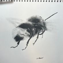 My project for course: Expressive Animal Portraits in Watercolor. Traditional illustration, Watercolor Painting, Realistic Drawing, and Naturalistic Illustration project by Lizzii Bowman - 07.19.2023