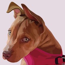 Retrato de mascota. Un proyecto de Ilustración tradicional de bearzena - 19.07.2023