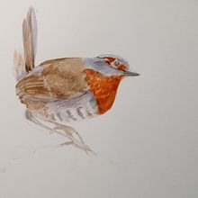 Chucao. Un projet de Illustration traditionnelle de Andrea Zamorano R. - 20.07.2023