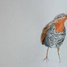 Chucao 2. Un projet de Illustration traditionnelle de Andrea Zamorano R. - 20.07.2023