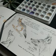 Mi proyecto del curso: Cuaderno ilustrado inspirado en viaje a “Pan de azúcar” región de Atacama. Projekt z dziedziny R, sunek ołówkiem,  R, sunek, Malowanie akwarelą, Sketchbook, Ilustracja naturalist i czna użytkownika nicole_parejat - 09.07.2023