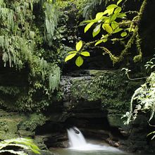 Mi proyecto del curso: Fotografía para principiantes.  AMAZONAS ECUADOR.. Photograph, Digital Photograph, Photographic Composition, and Fine-Art Photograph project by Esteban Apablaza Hormazabal - 07.19.2023