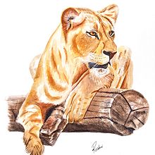 Lioness in Watercolor. Un progetto di Artigianato, Pittura ad acquerello, Belle arti e Pittura di Roshni Mehta - 22.07.2023