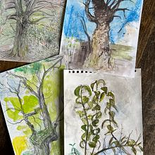 Starting my portfolio with sketches done in last 12 months Ein Projekt aus dem Bereich Malerei, Skizzenentwurf und Zeichnung von Vicki Seddon - 22.07.2023