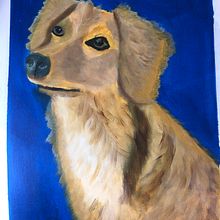 Bucky. Een project van  Beeldende kunst y  Olieverfschilderij van Josefina Quiceno Gutierrez - 22.07.2023