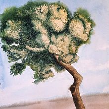 My project for course: Watercolor Painting: Explore Dry Brush Techniques. Projekt z dziedziny  Sztuki piękne,  Malarstwo,  R, sunek, Malowanie akwarelą, R, sunek botaniczn, Ilustracja naturalist i czna użytkownika Anna - 22.07.2023