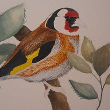 Mi proyecto del curso: Acuarela con detalles en filigrana y toques metálicos Ein Projekt aus dem Bereich Traditionelle Illustration, Malerei, Aquarellmalerei, Botanische Illustration, Naturalistische Illustration und Dekoratives Malen von David Cano - 24.07.2023