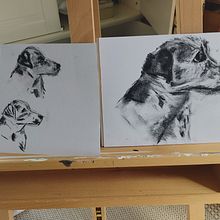 My project for course: Animal Illustration with Charcoal and Ink. Furry Family . Fine Arts, Drawing, Ink Illustration, and Naturalistic Illustration project by slouiser - 07.24.2023
