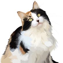Retrato Digital de Mascota Illustrator. Un proyecto de Ilustración tradicional de bearzena - 23.07.2023