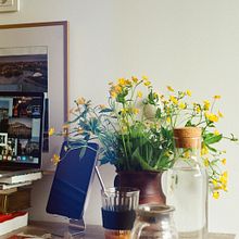 My fav flowers . % Надежда Мацкевич tarafından hazırlanan Çiçek ve Bitki Tasarımı projesi - 07.27.2023