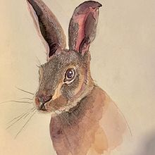 Mi proyecto del curso: Técnicas experimentales de acuarela para principiantes. Un progetto di Illustrazione tradizionale, Belle arti, Pittura ad acquerello e Illustrazione naturalistica di Paula M. Lira Eyzaguirre - 29.07.2023