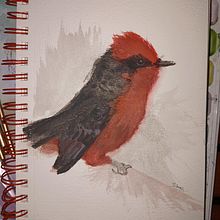 Curso: Acuarela naturalista con expresión y personalidad. Traditional illustration, Watercolor Painting, and Naturalistic Illustration project by Shirley Jasive Martínez Wong - 07.29.2023
