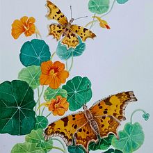 My project for course: Naturalistic Illustration in Watercolor and Gouache. Fine Arts, Painting, Watercolor Painting, Botanical Illustration, Naturalistic Illustration, and Gouache Painting project by Anna Lau - 07.27.2023