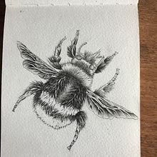 Bumblebee . Un projet de Illustration traditionnelle de daniela_schutt - 29.07.2023