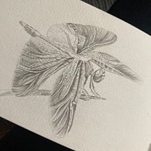 Trollslända . Un projet de Illustration traditionnelle de daniela_schutt - 29.07.2023