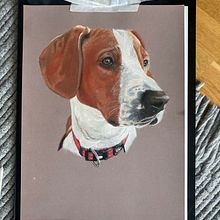 Barley the dog. Un projet de Illustration traditionnelle de daniela_schutt - 29.07.2023