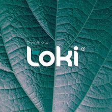 Toki: Green Energy. Design, Graphic Design, Br, ing & Identit project by Rômulo Bochimpani - 07.30.2023