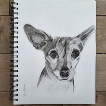 Dessins. Arts, Crafts, Painting, and Drawing project by Anne Martin - 07.31.2023