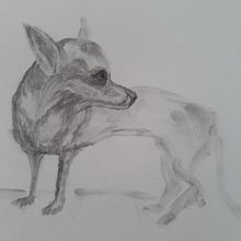 Leão de Judá: Desenho expressivo com carvão  Ein Projekt aus dem Bereich Bildende Künste, Zeichnung, Porträtzeichnung und Naturalistische Illustration von Lourival Piligra - 21.07.2023