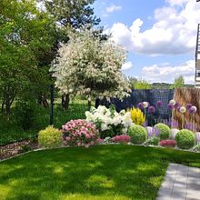 Small townhouse garden. Een project van L, scaping y  Schetsen van Olga Gorchichko - 31.07.2023
