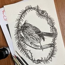 Mi proyecto del curso: Ilustración con tinta y plumilla: captura el mundo natural. Un proyecto de Bocetado, Dibujo, Dibujo artístico, Sketchbook, Ilustración con tinta e Ilustración naturalista				 de María González Martínez - 31.07.2023