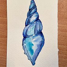 Conquiliología. Un progetto di Pittura, Pittura ad acquerello, Illustrazione tradizionale, Belle arti, Consulenza creativa e Disegno di Carmen Peinado - 31.07.2023