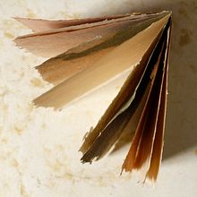 Papel de girasol: variación del proceso con bicarbonato de sodio. Un progetto di Artigianato, Belle arti, Rilegatura e DIY di Camila Moncada (Jáku Papel) - 01.08.2023
