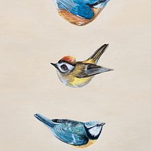 My project for course: Gouache: Paint Natural Worlds from Imagination. Character Design, Painting, Children's Illustration, and Gouache Painting project by Daniela Haubertová - 08.01.2023