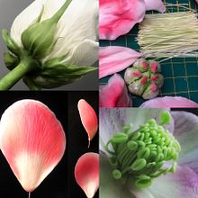 SMALL DETAIL: Nothing is Impossible.  (Christina Wallis) . Design, Education, Arts, and Crafts project by Christina Wallis - 08.02.2023