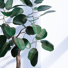 PLANT MODELING - GROWFX. 3D Modeling project by pedrodominguez_3d - 08.02.2023