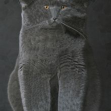 Gatos 2023. Un proyecto de Ilustración tradicional, Bellas Artes y Collage de Lola Dupre - 02.08.2023