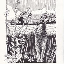 Mijn project van de cursus: Illustratie met een kroontjespen en inkt: leg de natuur vast. Projekt z dziedziny Sketching,  R, sunek,  R, sunek art, st, czn, Sketchbook,  R, sunek atramentem, Ilustracja naturalist i czna użytkownika Ans Breetveld - 03.08.2023