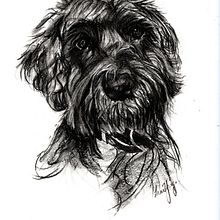 My project for course: Animal Illustration with Charcoal and Ink . % Louise Young tarafından hazırlanan Güzel sanatlar, Çizim, Mürekkep İllüstras, onu, Doğalcı İllüstras, Ve on projesi - 08.03.2023