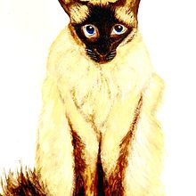Mi proyecto del curso: Retratos expresivos de animales en acuarela. Traditional illustration, Realistic Drawing, Naturalistic Illustration, and Watercolor Painting project by lilia.tamayo - 07.23.2023