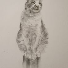 My project for course: Expressive Drawing with Charcoal. Artes plásticas, Desenho, Desenho de retrato e Ilustração naturalista projeto de annafaudell - 04.08.2023