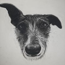 My project for course: Animal Illustration with Charcoal and Ink. Fine Arts, Drawing, Ink Illustration, and Naturalistic Illustration project by Lisa Dunne - 08.04.2023