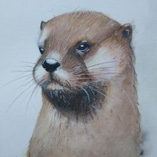 Mi proyecto del curso: Técnicas experimentales de acuarela para principiantes. Een project van Traditionele illustratie,  Beeldende kunst, Aquarelschilderen y Naturalistische illustratie van katherine_021 - 04.08.2023
